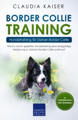 Border Collie Training - Hundetraining für Deinen Border Collie