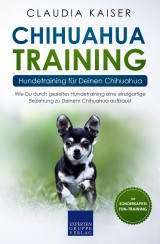Chihuahua Training - Hundetraining für Deinen Chihuahua