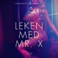 Leken med Mr. X - erotisk novell