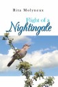 Flight of a Nightingale