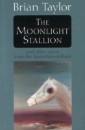 Moonlight Stallion