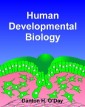 Human Developmental Biology