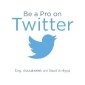 Be a Pro on Twitter