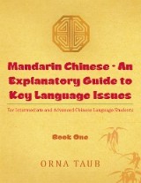 Mandarin Chinese - an Explanatory Guide to Key Language Issues