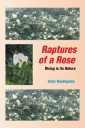 Raptures of a Rose