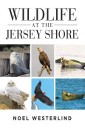Wildlife at the Jersey Shore