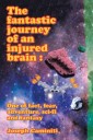 The Fantastic Journey of an Injured  Brain : One of Fact, Fear, Adventure,  Sci-Fi and Fantasy