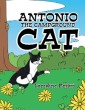 Antonio the Campground Cat