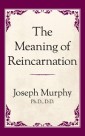 The Meaning of Reincarnation