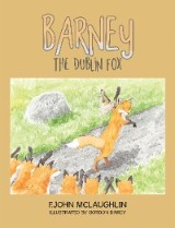 Barney  the Dublin Fox