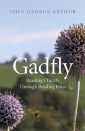 Gadfly: Reading Church Through Reading Jesus