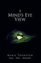 A Mind's Eye View