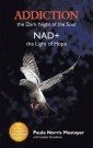 Addiction: the Dark Night of the Soul/ Nad+: the Light of Hope