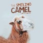 The Smiling Camel