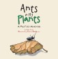 Ants in My Plants