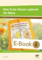 Mein Erste-Klasse-Lapbook: Die Biene