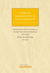 Litigación internacional en la Unión Europea III