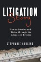 Litigation Story