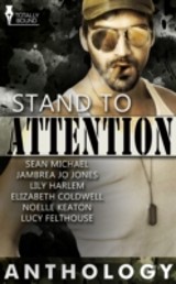 Stand to Attention