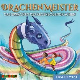 Drachenmeister (10)