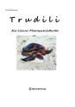Trudili, die kleine Meeresschildkröte