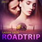 Roadtrip - erotisk novell