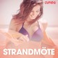 Strandmöte - erotiska noveller