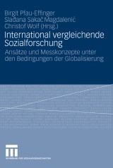 International vergleichende Sozialforschung