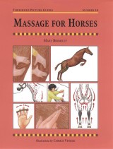 MASSAGE FOR HORSES