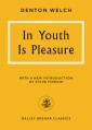 In Youth Is Pleasure