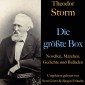 Theodor Storm: Die größte Box