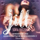 Jill - Geheimnisse und leidenschaftliche Begegnungen 3 - Erotische Novelle