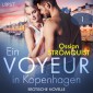 Ein Voyeur in Kopenhagen 1 - Erotische Novelle