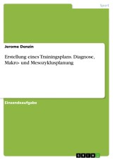 Erstellung eines Trainingsplans. Diagnose, Makro- und Mesozyklusplanung