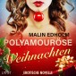 Polyamouröse Weihnachten - Erotische Novelle