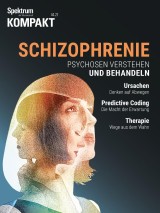 Spektrum Kompakt - Schizophrenie