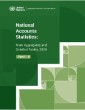 National Accounts Statistics: Main Aggregates and Detailed Tables 2020 (Five-volume Set)