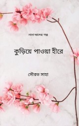 কুড়িয়ে পাওয়া হীরে