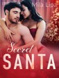 Secret Santa - opowiadanie erotyczne