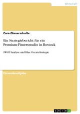 Ein Strategiebericht für ein Premium-Fitnessstudio in Rostock
