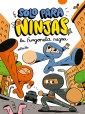 Solo para ninjas: La furgoneta negra