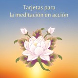 Tarjetas de meditación en acción