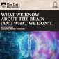What We Know About the Brain (and What We Don't)