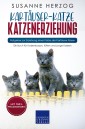 Kartäuser-Katze Katzenerziehung - Ratgeber zur Erziehung einer Katze der Kartäuser Rasse