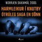 Harmleikur í Knutby - ótrúleg saga en sönn