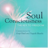 Soul  Consciousness
