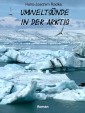 Umweltsünde in der Arktis