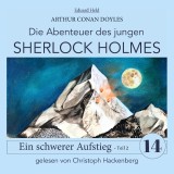 Sherlock Holmes: Ein schwerer Aufstieg - Teil 2
