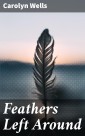 Feathers Left Around