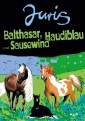 Balthasar, Haudiblau und Sausewind